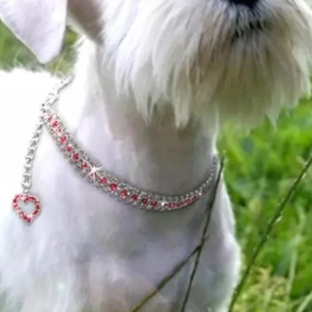 Dog necklace